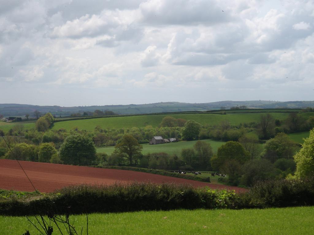 Brambles Bed And Breakfast Tiverton  Exterior foto