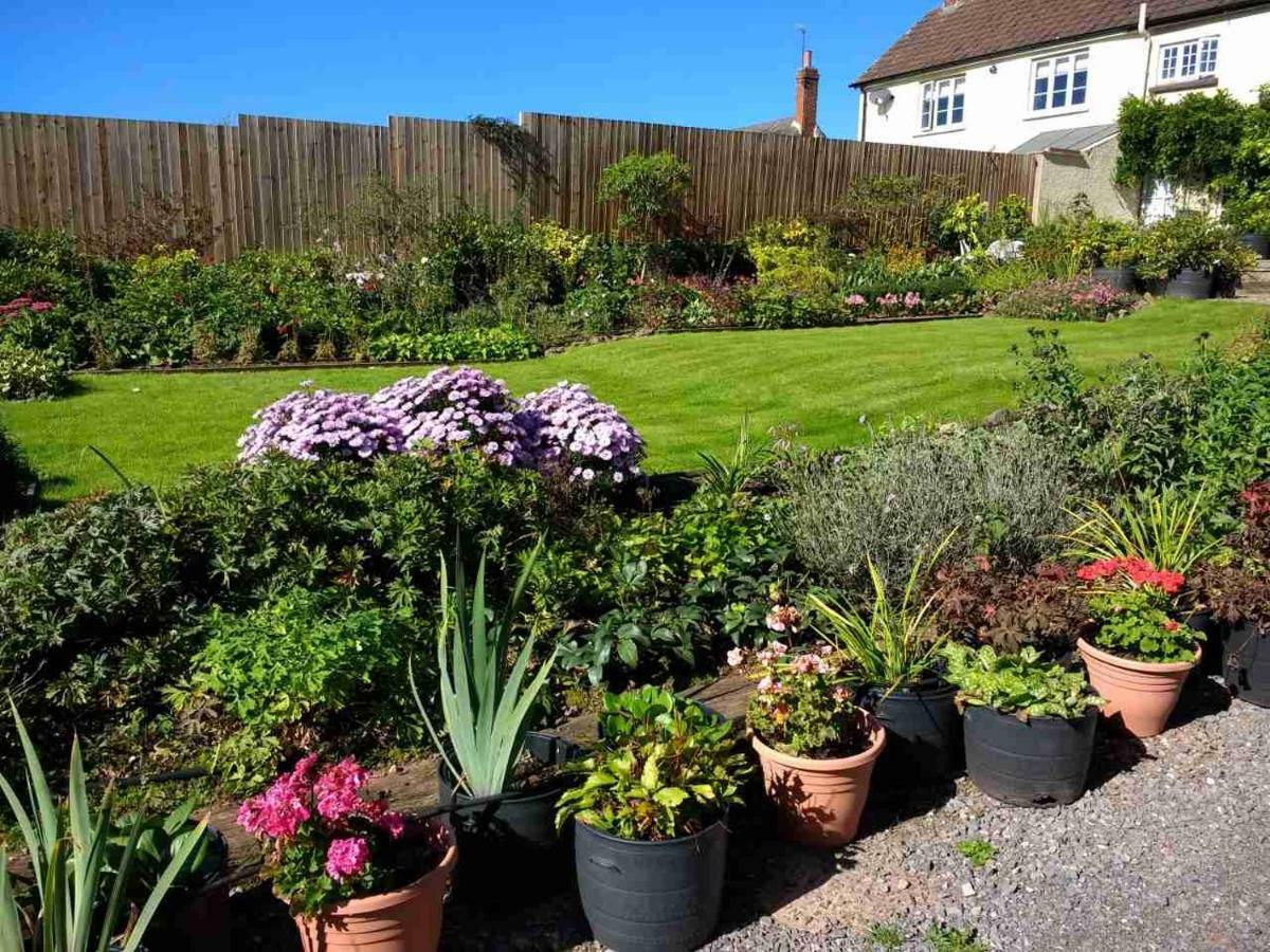 Brambles Bed And Breakfast Tiverton  Exterior foto